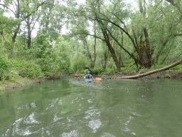 Phillippsbureg, 2 Tage Tour, Mai 2026
